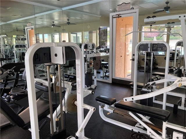 30902 Clubhouse Dr Unit 17A, Laguna Niguel, CA 92677 - gym with ceiling fan and crown molding