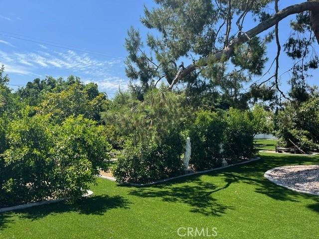 6986 Church Ave, Highland, CA 92346 - photo 50