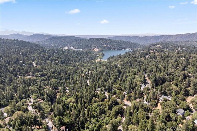 1016 Berne Dr, Crestline, CA 92325 - view of mountain background featuring a forest and a large body of water