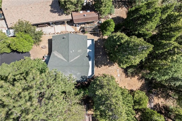 1016 Berne Dr, Crestline, CA 92325 - aerial view of property and surrounding area