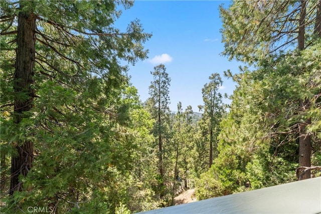1016 Berne Dr, Crestline, CA 92325 - view of wooded area