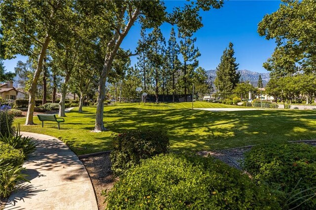 1320 Brookhaven Pl, Upland, CA 91784 - photo 50
