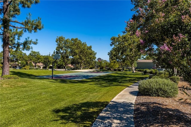 1320 Brookhaven Pl, Upland, CA 91784 - photo 48