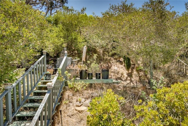 448 Via El Chico, Redondo Beach, CA 90277 - view of yard