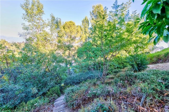 1742 Hanscom Dr, South Pasadena, CA 91030 - view of undeveloped land