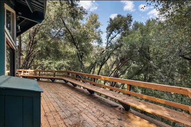 2330 Alpen Ct, Pine Mountain Club, CA 93222 - photo 31