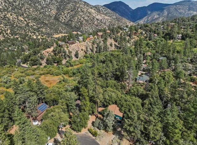 2330 Alpen Ct, Pine Mountain Club, CA 93222 - photo 42