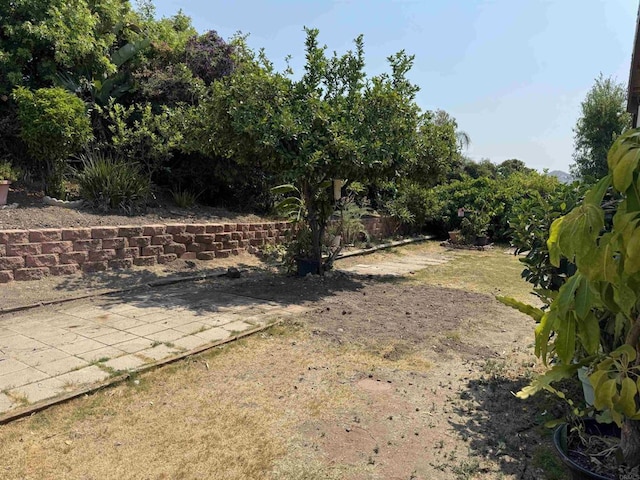 10118 Cedar Springs Dr, Santee, CA 92071 - photo 26