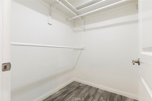 15114 Sherman Way Unit 106, Van Nuys, CA 91405 - walk in closet with dark wood-style floors
