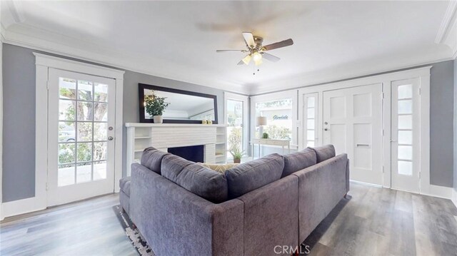 243 N Verdugo Rd, Glendale, CA 91206 - living room featuring crown molding, wood finished floors, ceiling fan, and a fireplace