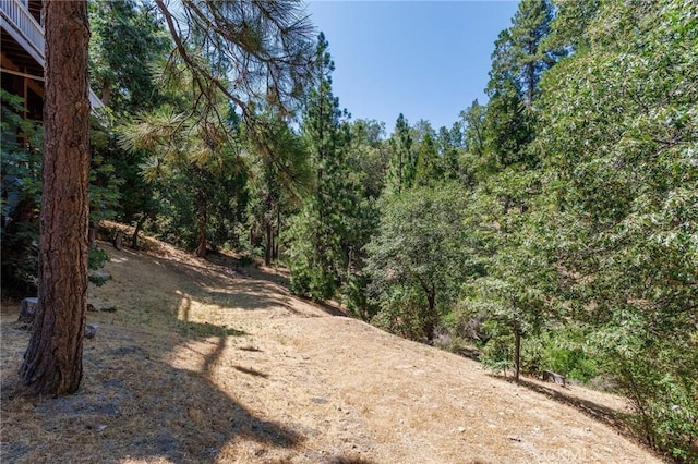 28575 Manitoba Dr, Lake Arrowhead, CA 92352 - photo 48