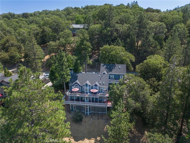 28575 Manitoba Dr, Lake Arrowhead, CA 92352 - photo 39