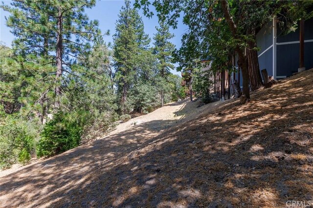 28575 Manitoba Dr, Lake Arrowhead, CA 92352 - photo 47