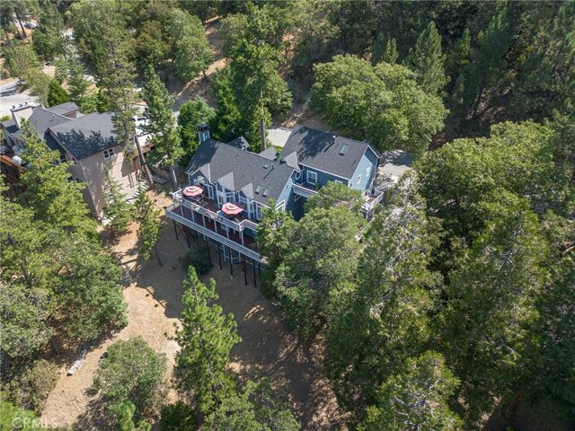 28575 Manitoba Dr, Lake Arrowhead, CA 92352 - photo 41