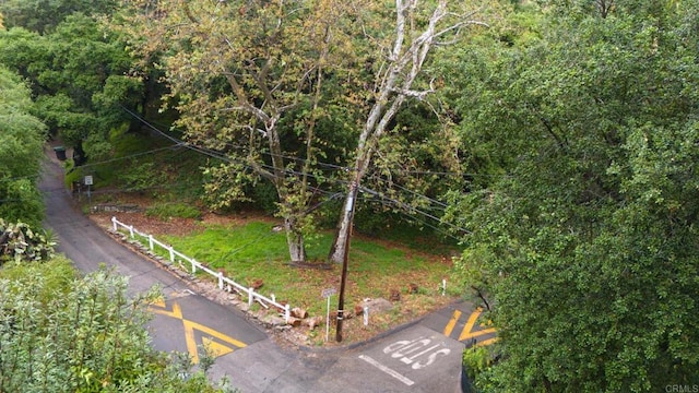0 Shaw Ranch Rd, Pasadena, CA 91107 - photo 3