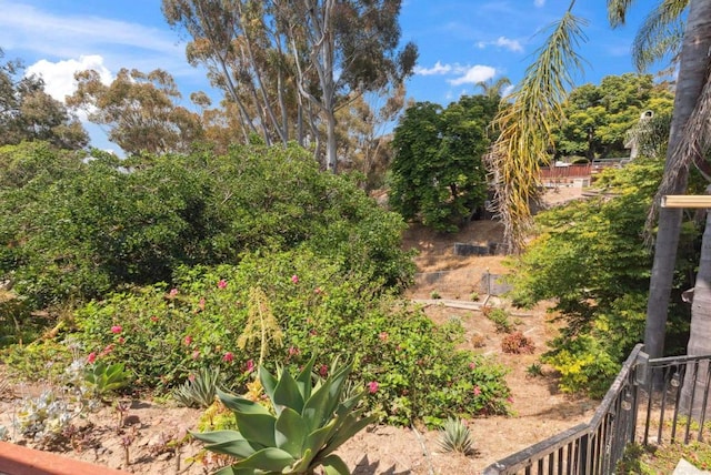 139 Parnassus Cir, Oceanside, CA 92054 - view of yard