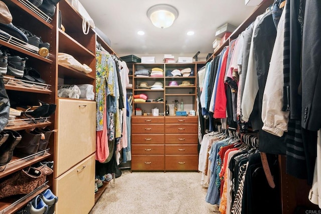 139 Parnassus Cir, Oceanside, CA 92054 - spacious closet featuring light carpet