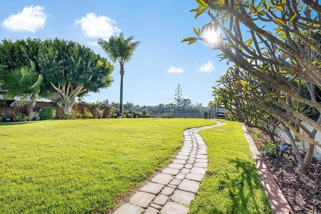 1592 Hawk View Dr, Encinitas, CA 92024 - view of yard