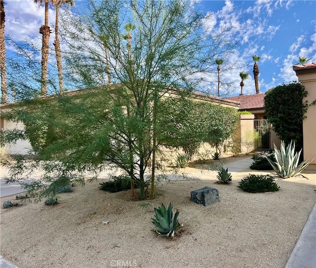 76376 Sweet Pea Way, Palm Desert, CA 92211 - view of yard
