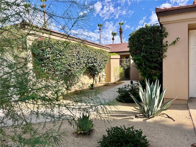 76376 Sweet Pea Way, Palm Desert, CA 92211 - view of yard