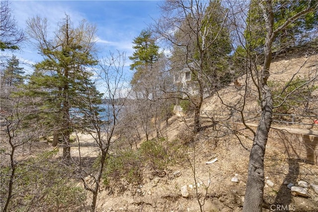 28744 Palisades Dr, Lake Arrowhead, CA 92352 - photo 35