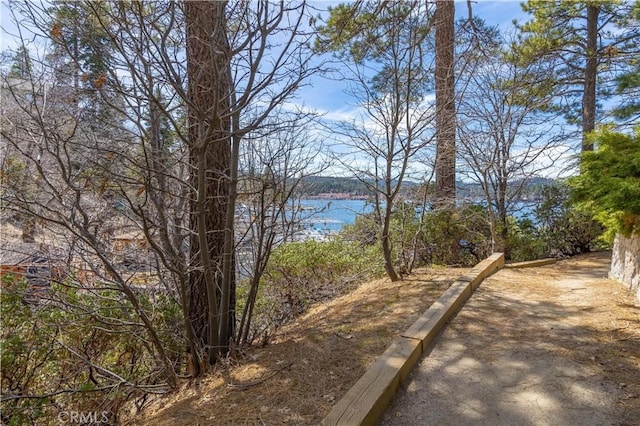 28744 Palisades Dr, Lake Arrowhead, CA 92352 - photo 36