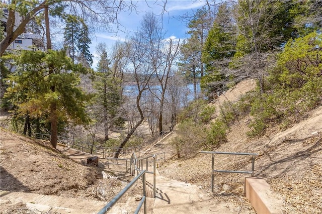 28744 Palisades Dr, Lake Arrowhead, CA 92352 - photo 34