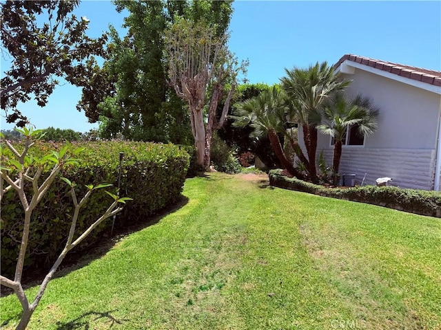 1319 Riedel Ave, Fullerton, CA 92831 - view of green lawn