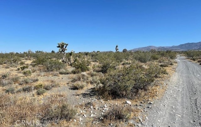0 Calaveras, Pinon Hills, CA 92372