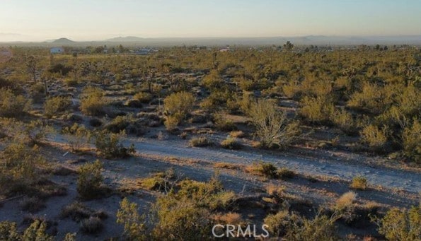 0 Calaveras, Pinon Hills, CA 92372