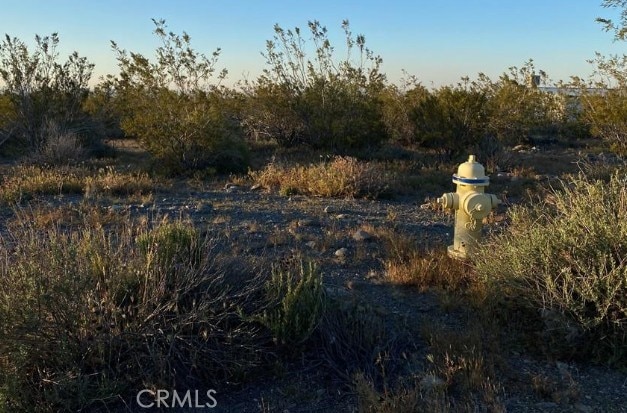 0 Calaveras, Pinon Hills, CA 92372