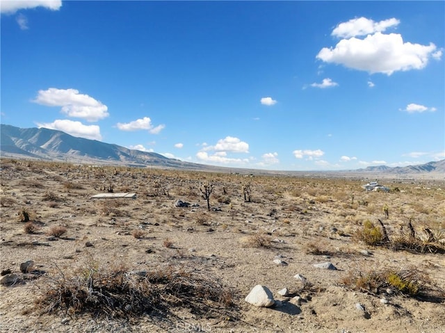 712 Custer Ave, Lucerne Valley, CA 92356 - photo 7