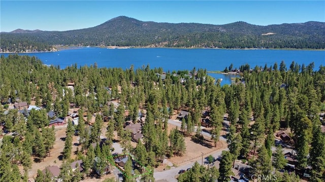380 Canvasback Dr, Big Bear Lake, CA 92315 - photo 39