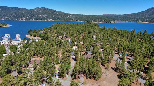 380 Canvasback Dr, Big Bear Lake, CA 92315 - photo 38