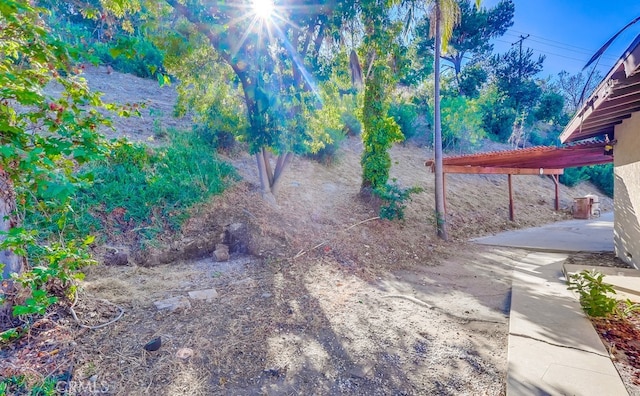 27909 Alaflora Dr, Rancho Palos Verdes, CA 90275 - view of yard