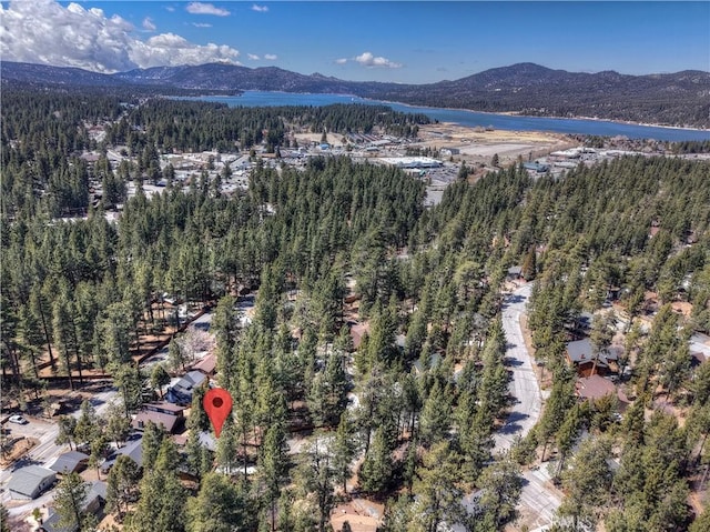 426 Crystal Ct, Big Bear Lake, CA 92315 - photo 62