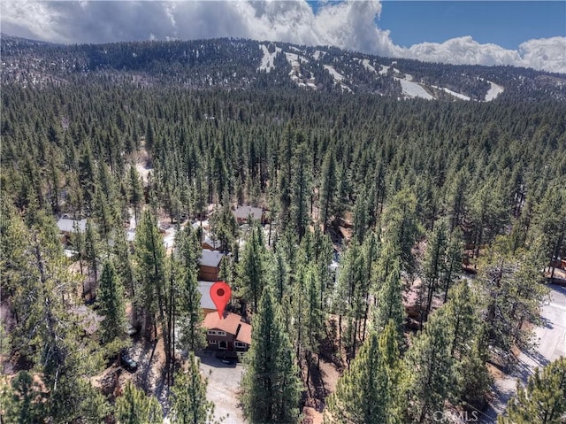 426 Crystal Ct, Big Bear Lake, CA 92315 - photo 61