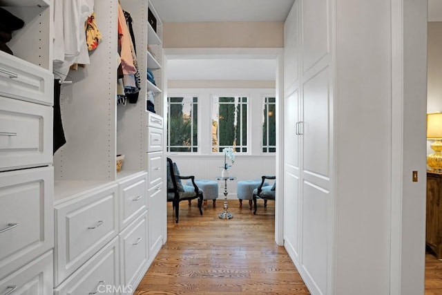 24630 Kittridge St, West Hills, CA 91307 - spacious closet featuring light wood finished floors