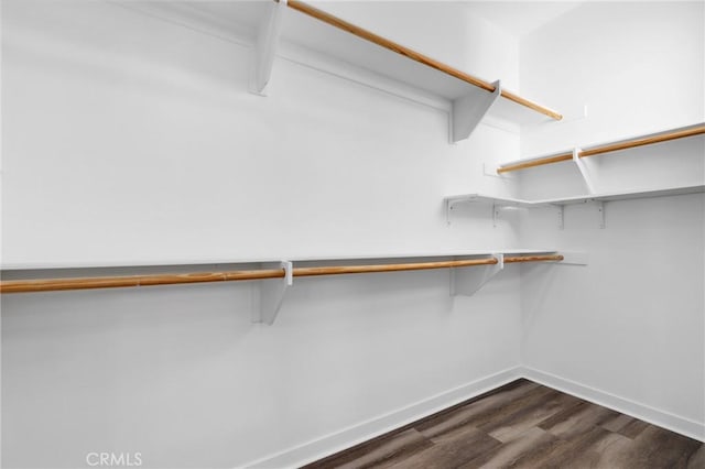 403 Aura Dr, Costa Mesa, CA 92626 - walk in closet featuring dark wood-style flooring