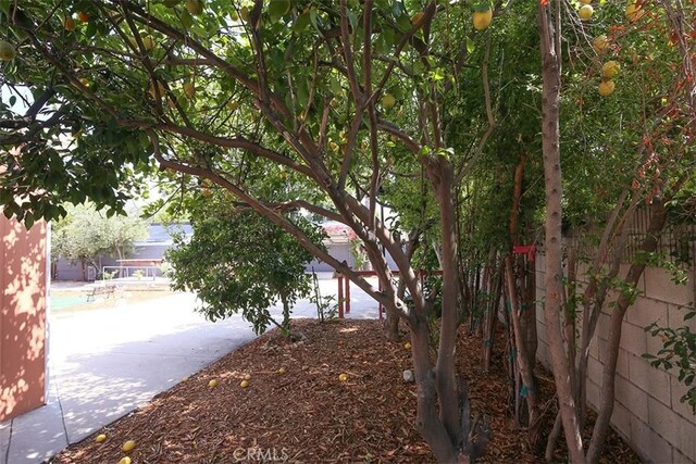 801 S Michillinda Ave, Pasadena, CA 91107 - photo 52