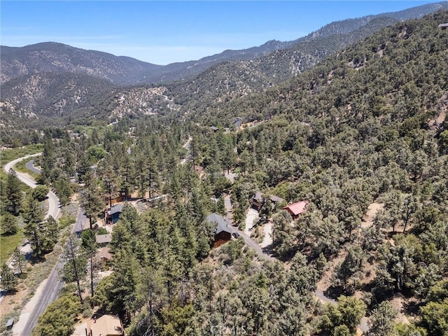 15708 Berne Ct, Pine Mountain Club, CA 93222 - photo 6
