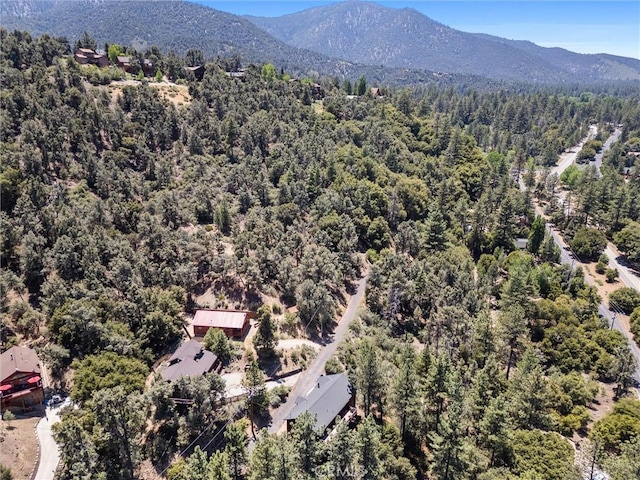 15708 Berne Ct, Pine Mountain Club, CA 93222 - photo 8