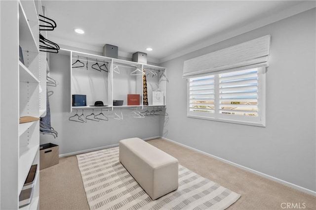 9031 Carson Ave, Hesperia, CA 92344 - walk in closet with carpet floors