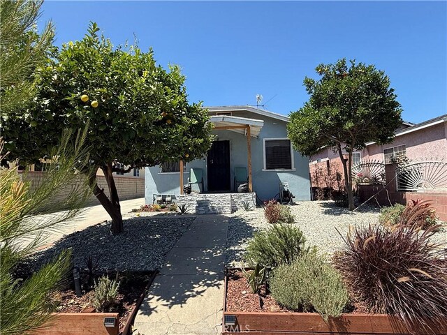 2817 Indiana Ave, South Gate, CA 90280 - view of property hidden behind natural elements featuring stucco siding