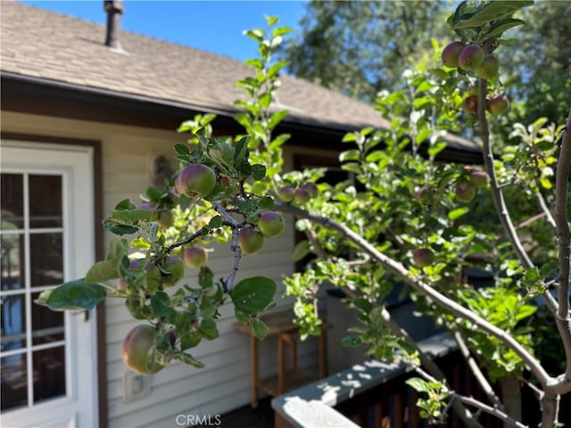 489 Dorn Dr, Crestline, CA 92325 - photo 59