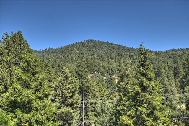 489 Dorn Dr, Crestline, CA 92325 - photo 39