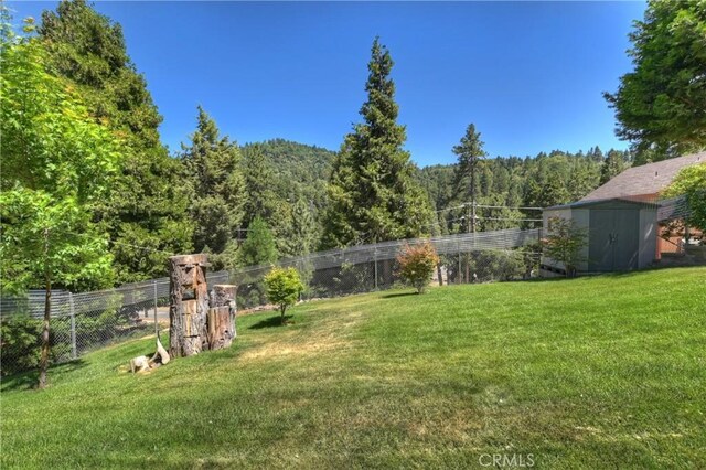489 Dorn Dr, Crestline, CA 92325 - photo 48