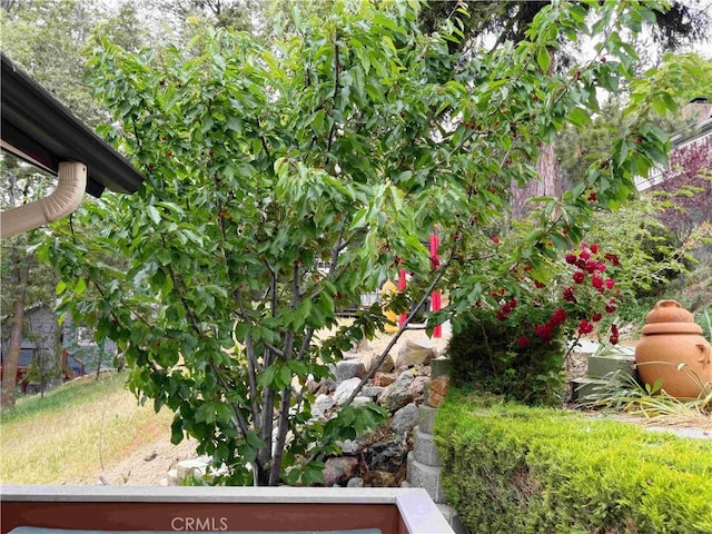 489 Dorn Dr, Crestline, CA 92325 - photo 60