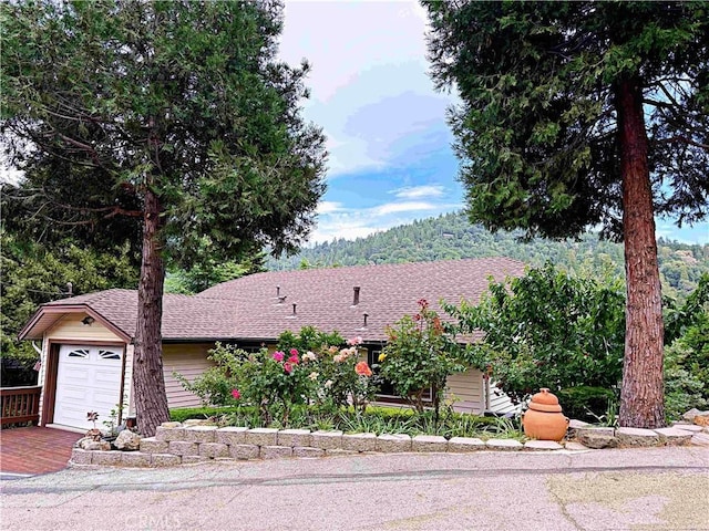 489 Dorn Dr, Crestline, CA 92325 - photo 67