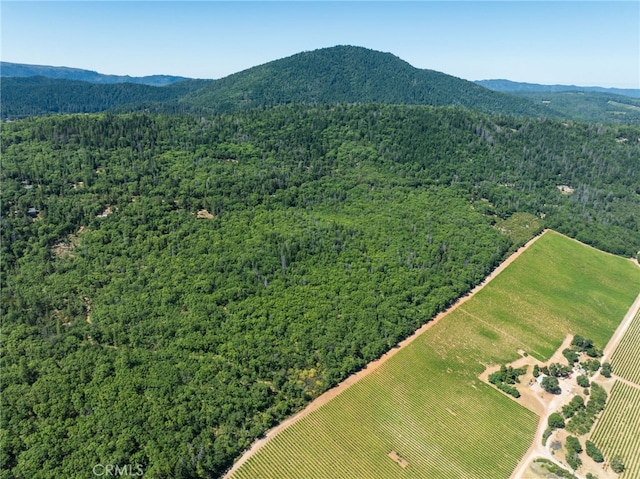 9600 Seigler Springs N Rd, Kelseyville, CA 95451 - photo 32
